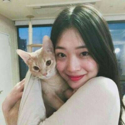 我就是喜欢动物的小仙女(气质女生和可爱小动物头像)