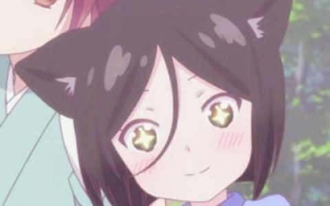 爱笑的人眼里满是心酸(动漫头像女生可爱猫耳二次元)