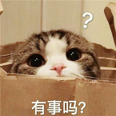 人生还没开始甜就已经腻了(呆萌可爱喵星人头像带字高清图片)