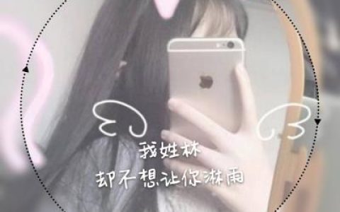 我姓林却不想让你淋雨(姓氏头像唯美女生好看的)