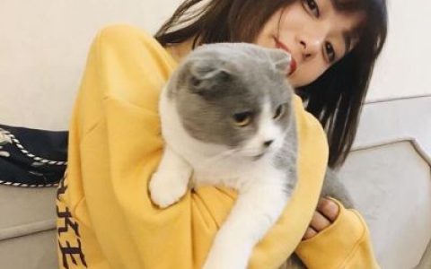 漂亮女生怀抱萌猫头像大全(猫咪可爱萌头像最新)