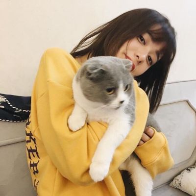 漂亮女生怀抱萌猫头像大全(猫咪可爱萌头像最新)