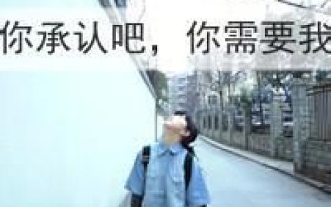 你承认吧你需要我(比较唯美的情侣头像一左一右)