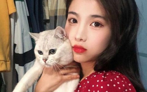 你是例外唯一偏爱(女生抱猫咪头像可爱好看)