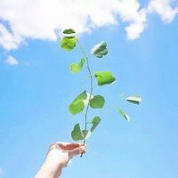 我能作茧自缚亦能破茧成蝶(手拿植物的小清新个性头像)