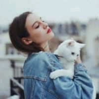 喜欢猫咪的宝宝们看过来(抱猫咪的女生头像)