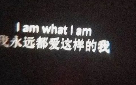 收好遗憾好聚好散(个性又很简约的带字好看的头像)