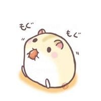 快乐要懂得分享(二次元动物卡通头像可爱萌)
