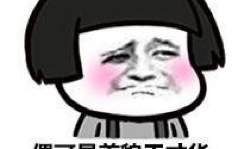 不要打扰本宝宝学习(搞笑头像卡通带字图片大全可爱)