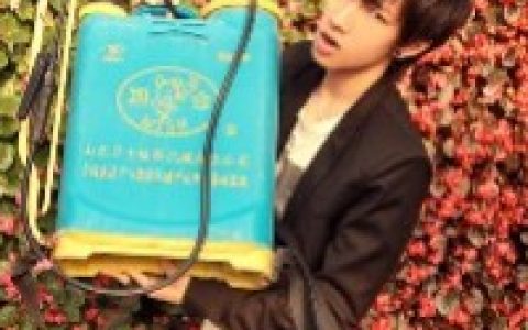 高清情侣QQ头像(非主流情侣头像图片)